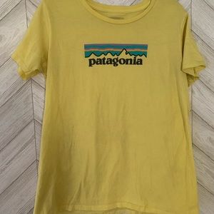 Patagonia tee
